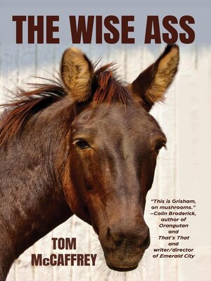 cover image of The Wise Ass